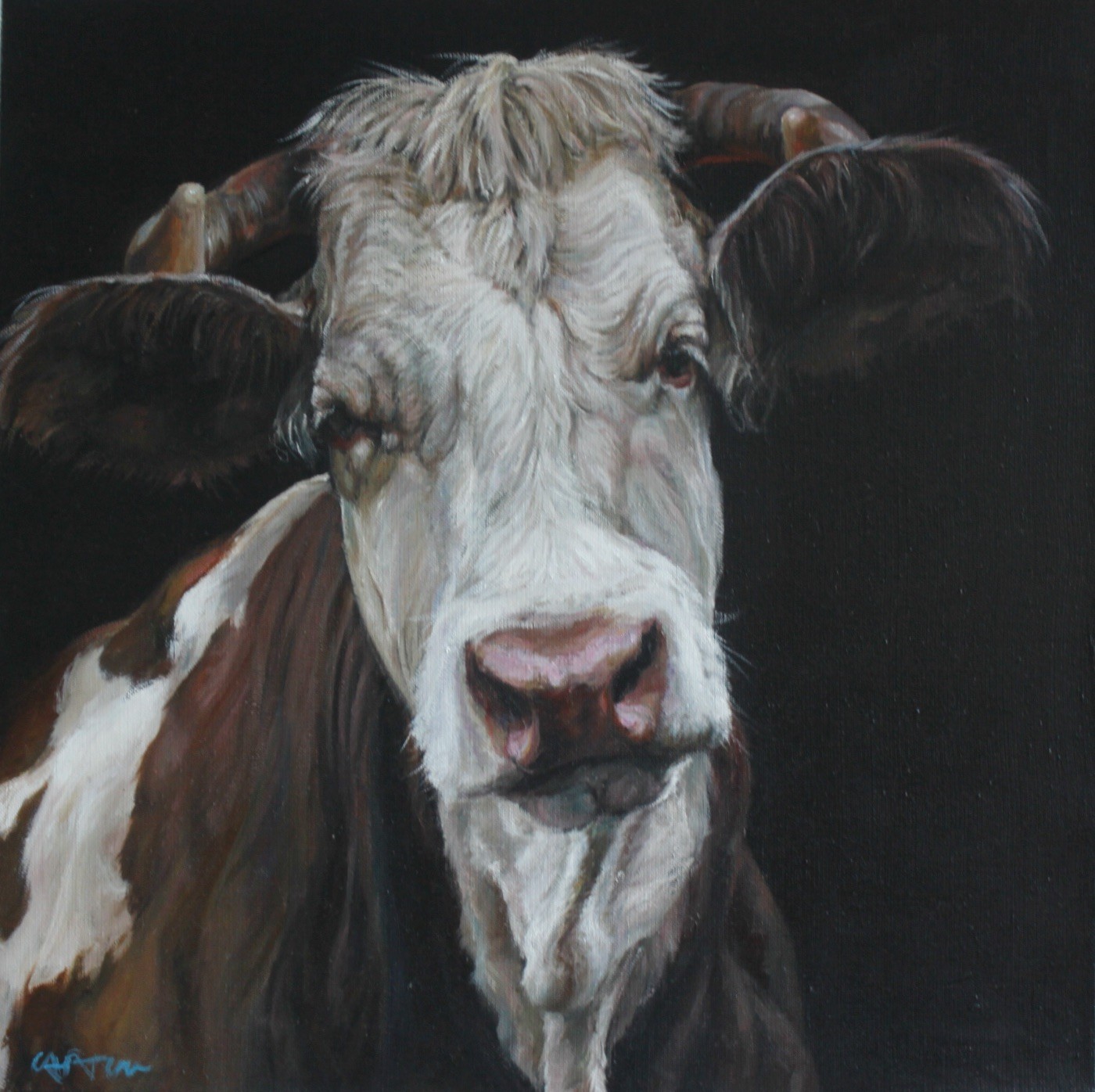 Simmental Oeuvre de CAPTON