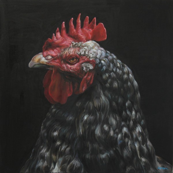 CAPTON_COQ_NOIR