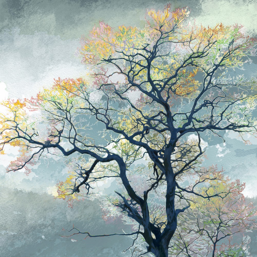 Brumatus Flores_Création originale de l'artiste Bernard POURCHET